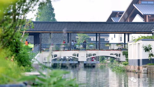 住在風景里，何必還要去找風景——宜興網(wǎng)站建設讓美麗鄉(xiāng)村觸手可及